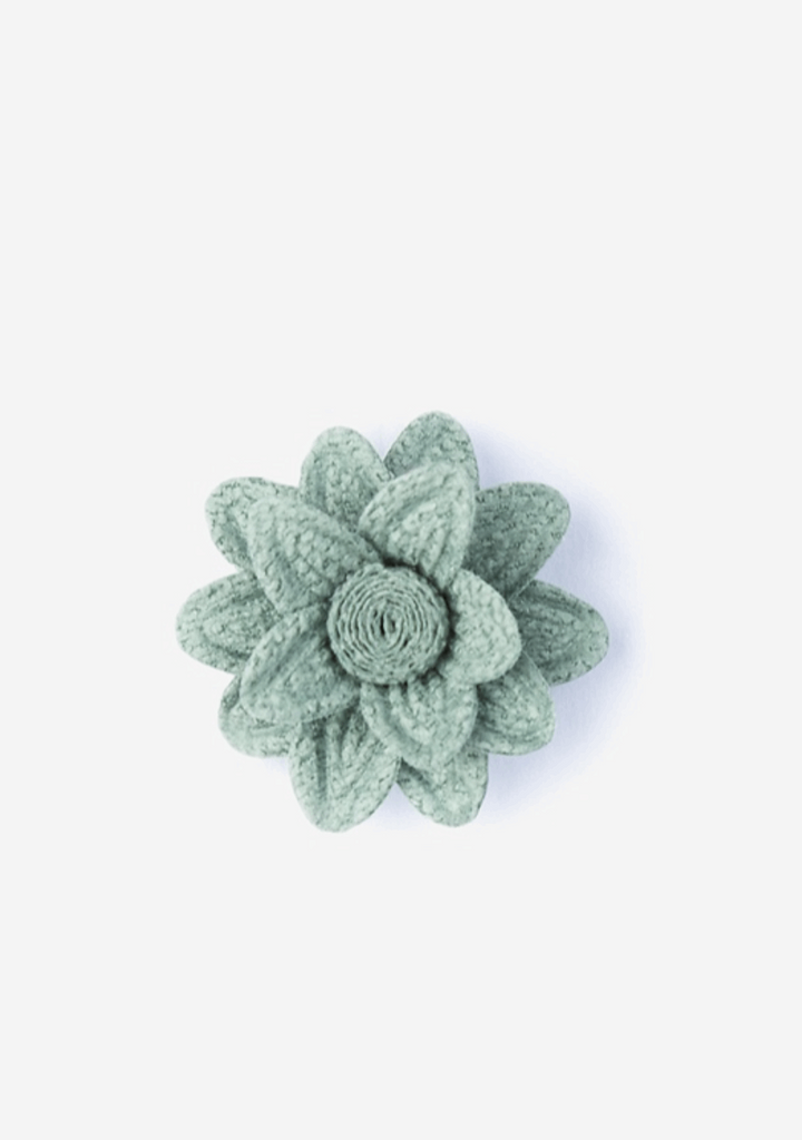 Aster - Green