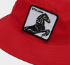 Im A Little Horse - Red